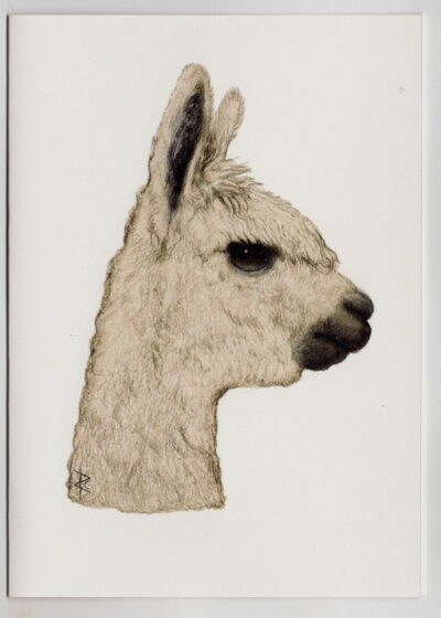 Wildlife Card - Alpaca Portrait (Cream) - Image 2