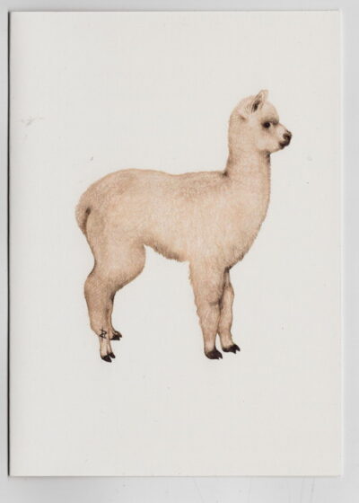 Wildlife Card - Alpaca in Profile (Cream) - Image 2