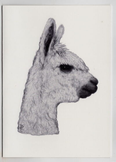 Wildlife Card - Alpaca Portrait (Monochrome) - Image 2