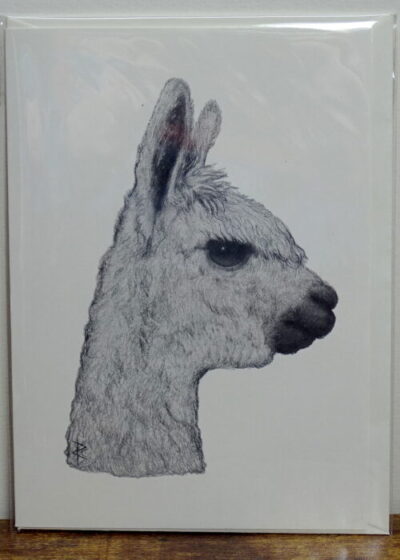 Wildlife Card - Alpaca Portrait (Monochrome) - Image 3